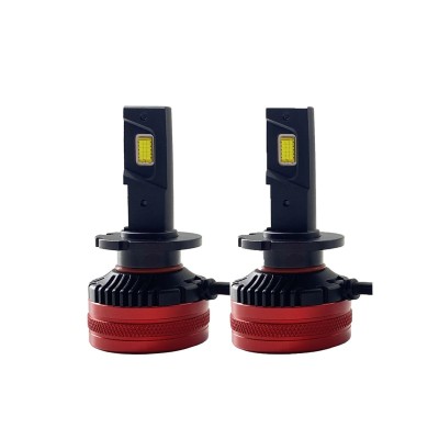 Lampadine led D1S/R D2S/R Force