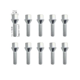 10 bulloni ch.17 12x1.25 l.40mm