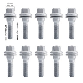10 bulloni ch.17 12x1.25 l50 mm testa piatta