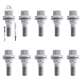 10 bulloni ch.17 12x1.25 l40 mm testa piatta