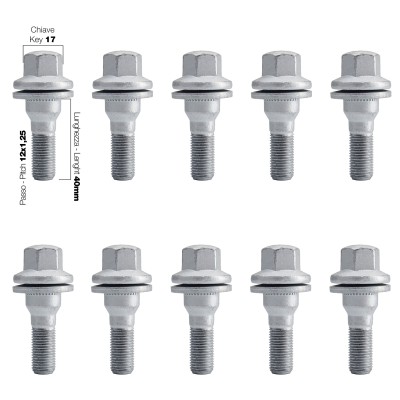 10 bulloni ch.17 12x1.25 l40 mm testa piatta