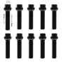 10 bulloni ch.17 15X1.25 l.60mm sferici rondella mobile