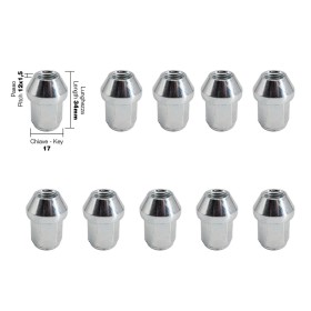 10 dadi chiusi ch.17 12X1.5 l.34mm