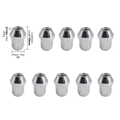 10 dadi chiusi ch.17 14X1.5 l.33mm
