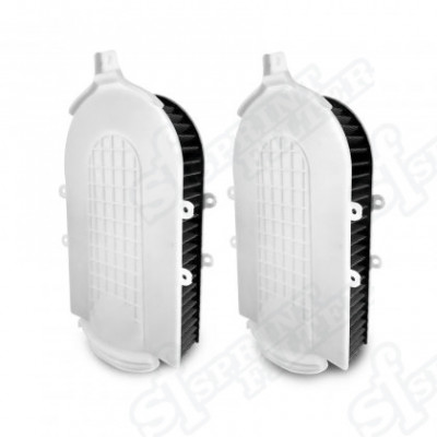 Sprint Filter Filtri aria replacement P08 F1-85 C1069S F1-85
