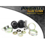 Front Radius Arm to Chassis Bush