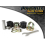 Front Radius Arm to Chassis Bush Caster Adjustable