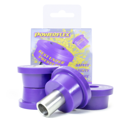 Supporto Posteriore Barra Panhard