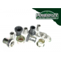 Boccola Anteriore Arm-Upper Interno