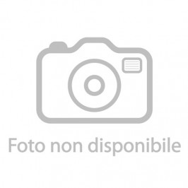 Pastiglie Freno Pagid E4580RSL1