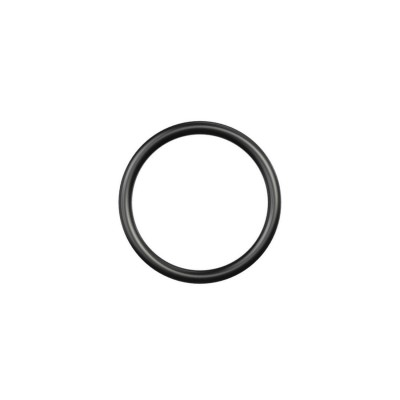 O-RING Goodridge